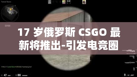 17 岁俄罗斯 CSGO 最新将推出-引发电竞圈高度关注