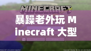 暴躁老外玩 Minecraft 大型纪录片：探索游戏世界的奇妙之旅