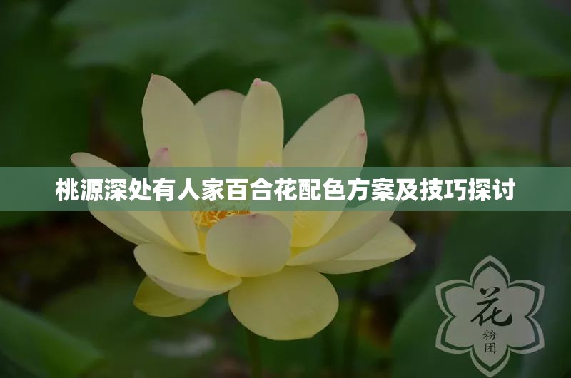 桃源深处有人家百合花配色方案及技巧探讨