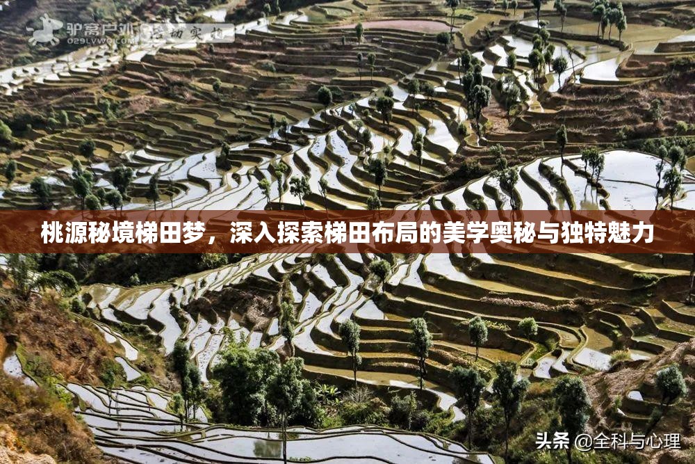 桃源秘境梯田梦，深入探索梯田布局的美学奥秘与独特魅力