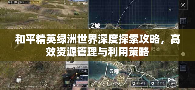和平精英绿洲世界深度探索攻略，高效资源管理与利用策略