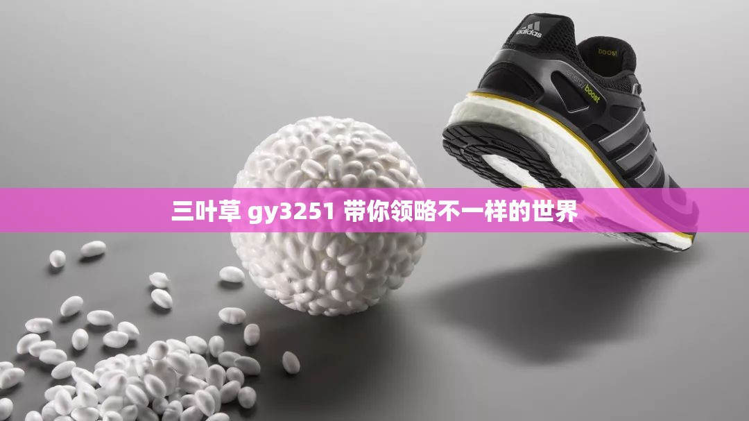 三叶草 gy3251 带你领略不一样的世界