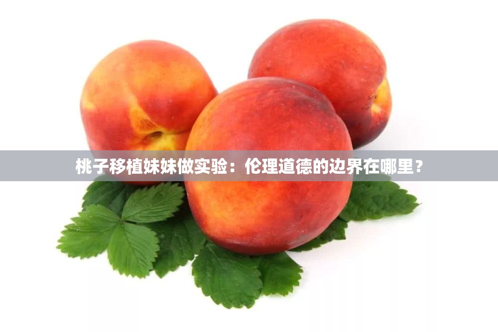 桃子移植妹妹做实验：伦理道德的边界在哪里？