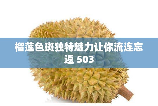 榴莲色斑独特魅力让你流连忘返 503