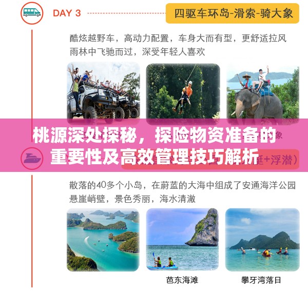 桃源深处探秘，探险物资准备的重要性及高效管理技巧解析