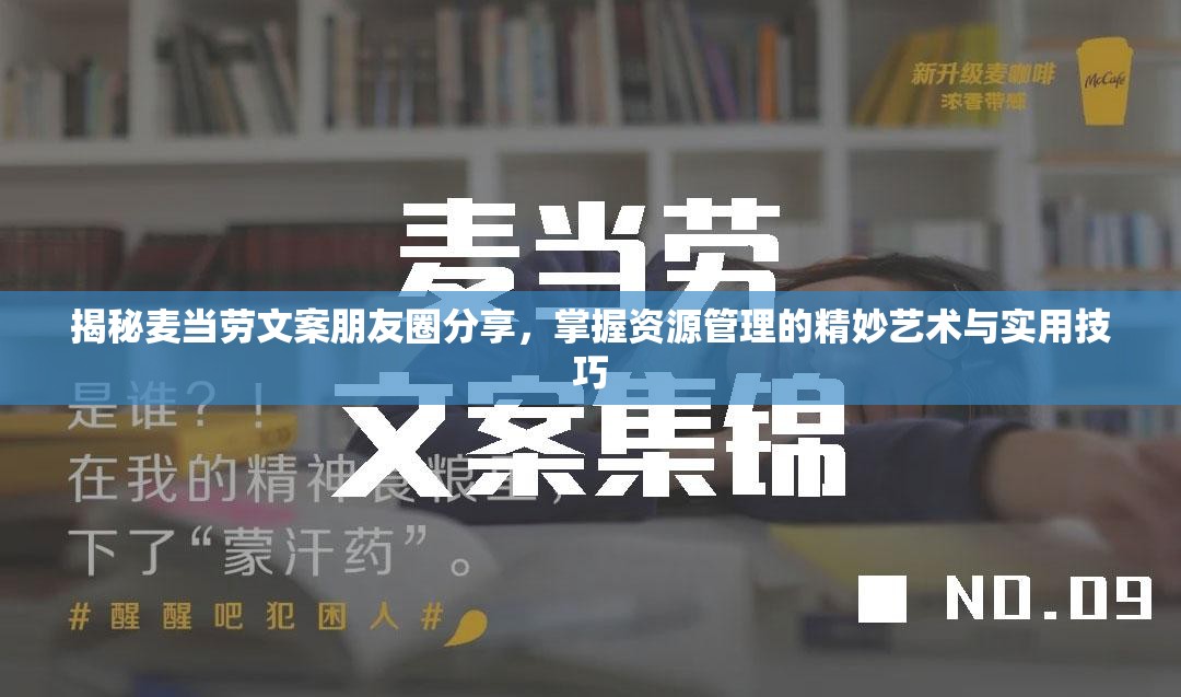 揭秘麦当劳文案朋友圈分享，掌握资源管理的精妙艺术与实用技巧