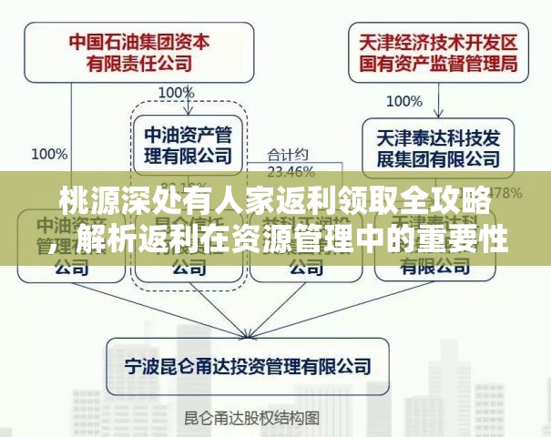 桃源深处有人家返利领取全攻略，解析返利在资源管理中的重要性及高效实用技巧