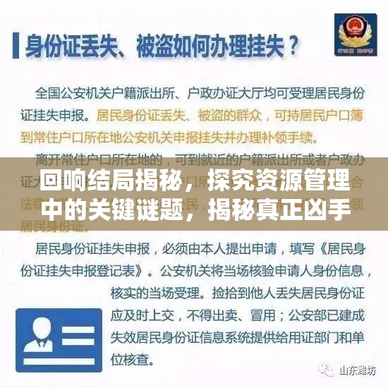 回响结局揭秘，探究资源管理中的关键谜题，揭秘真正凶手身份
