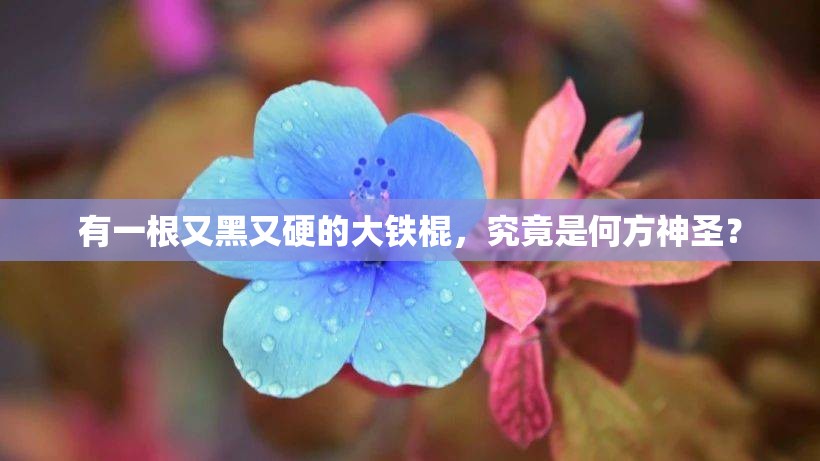有一根又黑又硬的大铁棍，究竟是何方神圣？