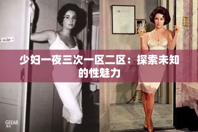少妇一夜三次一区二区：探索未知的性魅力