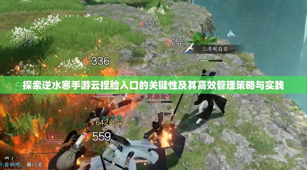 探索逆水寒手游云捏脸入口的关键性及其高效管理策略与实践