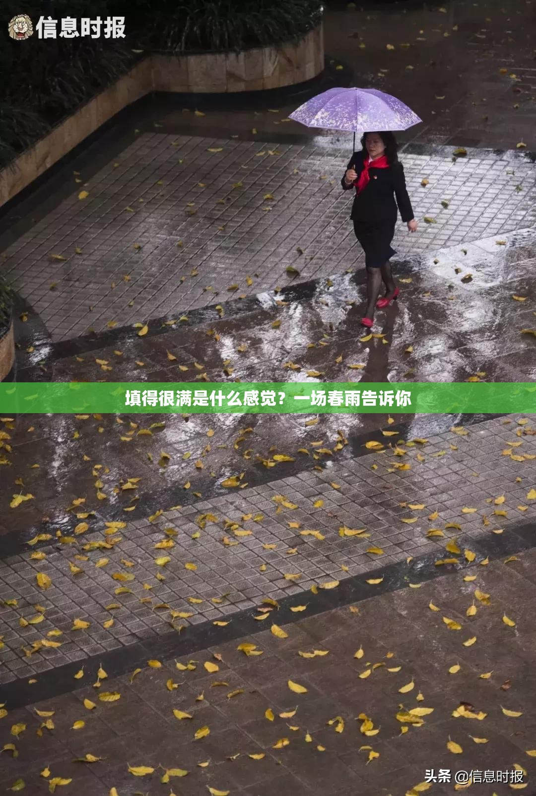 填得很满是什么感觉？一场春雨告诉你