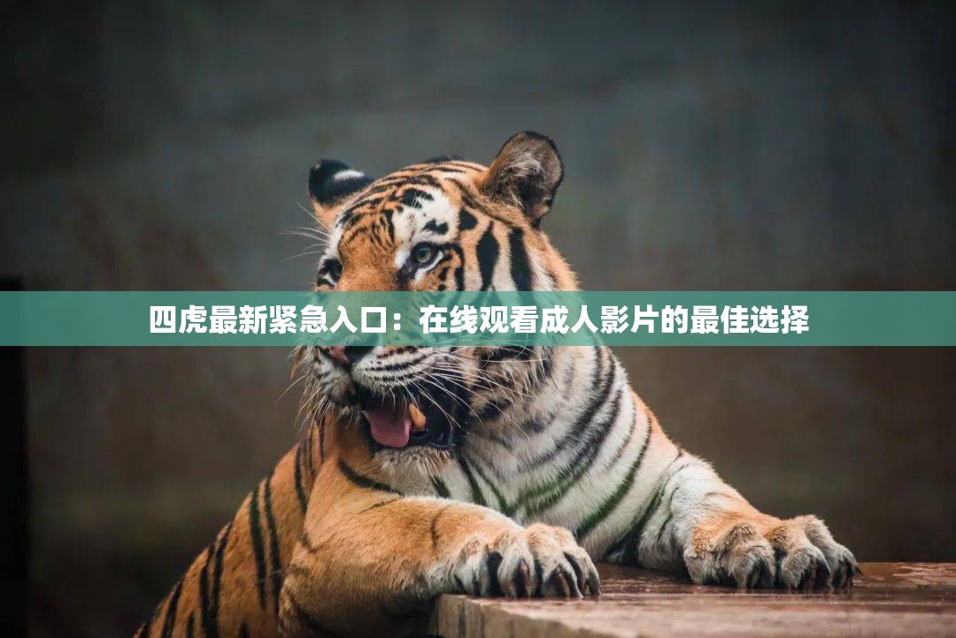 四虎最新紧急入口：在线观看成人影片的最佳选择