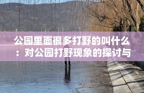 公园里面很多打野的叫什么：对公园打野现象的探讨与分析