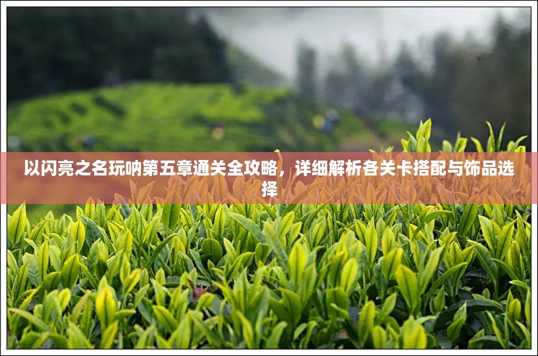 以闪亮之名玩呐第五章通关全攻略，详细解析各关卡搭配与饰品选择