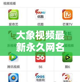 大象视频最新永久网名：打开新世界的大门，带你领略不一样的视界