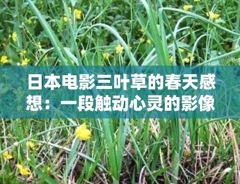 日本电影三叶草的春天感想：一段触动心灵的影像之旅