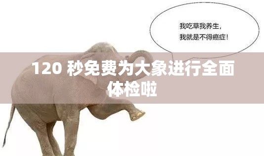 120 秒免费为大象进行全面体检啦
