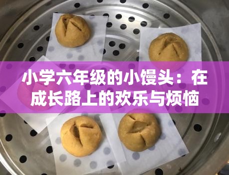 小学六年级的小馒头：在成长路上的欢乐与烦恼