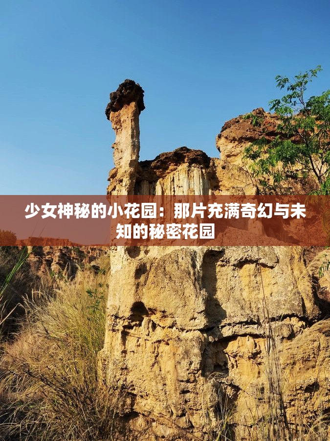 少女神秘的小花园：那片充满奇幻与未知的秘密花园