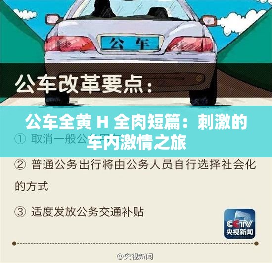 公车全黄 H 全肉短篇：刺激的车内激情之旅