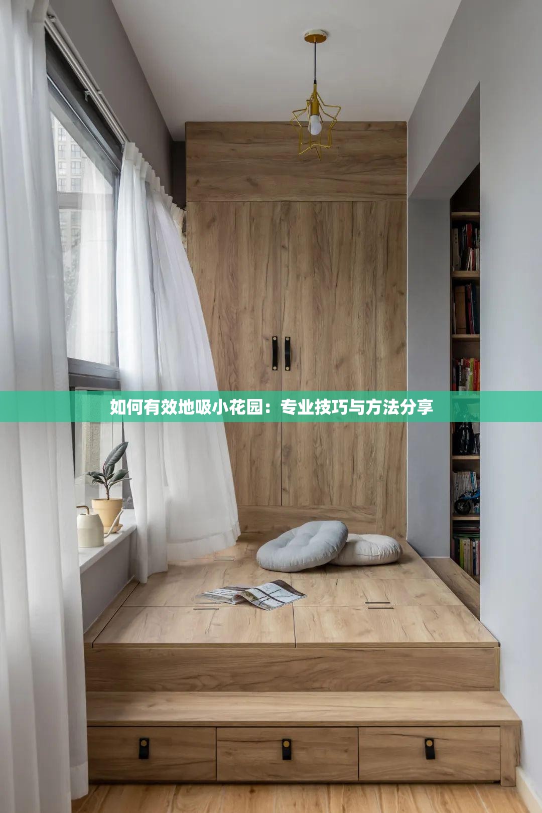 如何有效地吸小花园：专业技巧与方法分享