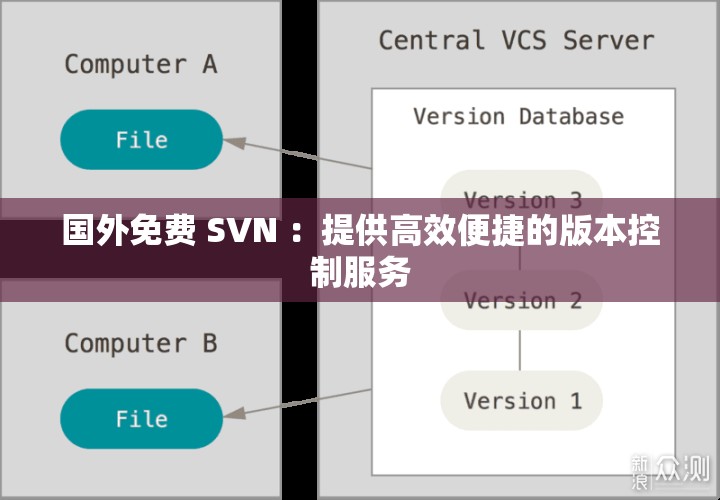 国外免费 SVN ：提供高效便捷的版本控制服务