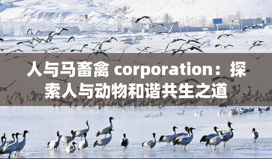 人与马畜禽 corporation：探索人与动物和谐共生之道