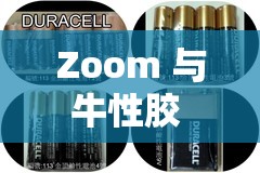 Zoom 与牛性胶 ZOOm：开启全新体验与探索