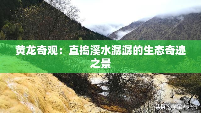 黄龙奇观：直捣溪水潺潺的生态奇迹之景