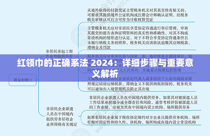 红领巾的正确系法 2024：详细步骤与重要意义解析