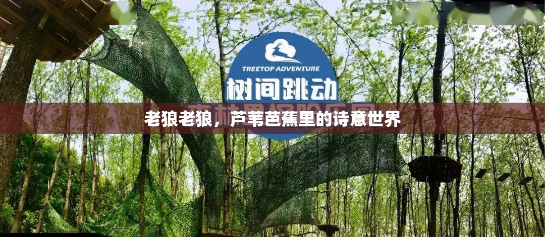 老狼老狼，芦苇芭蕉里的诗意世界