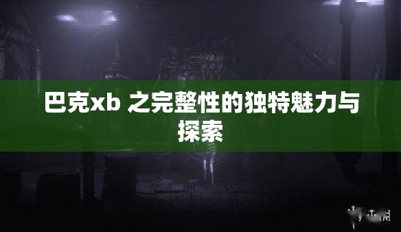 巴克xb 之完整性的独特魅力与探索
