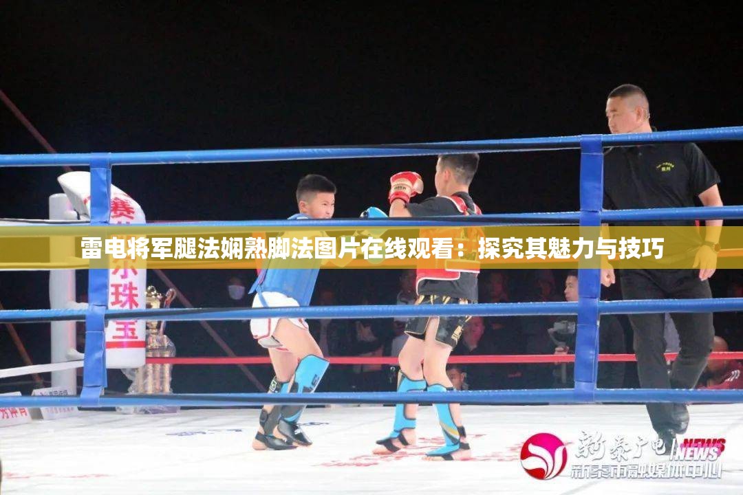 雷电将军腿法娴熟脚法图片在线观看：探究其魅力与技巧