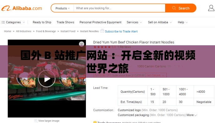 国外 B 站推广网站 ：开启全新的视频世界之旅