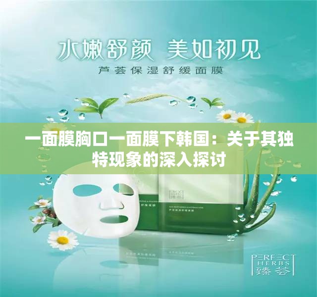 一面膜胸口一面膜下韩国：关于其独特现象的深入探讨
