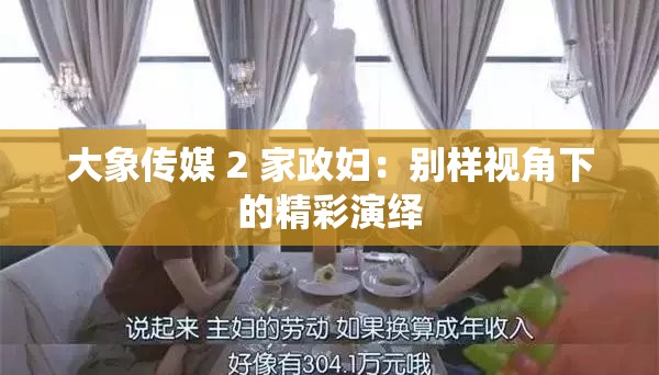 大象传媒 2 家政妇：别样视角下的精彩演绎