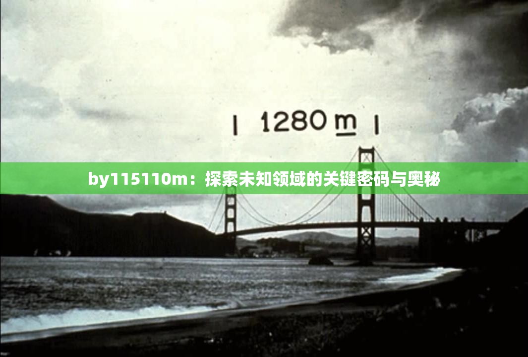 by115110m：探索未知领域的关键密码与奥秘