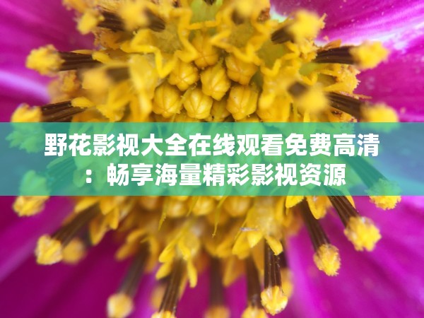 野花影视大全在线观看免费高清：畅享海量精彩影视资源
