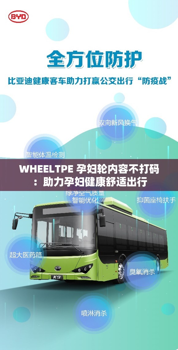 WHEELTPE 孕妇轮内容不打码：助力孕妇健康舒适出行