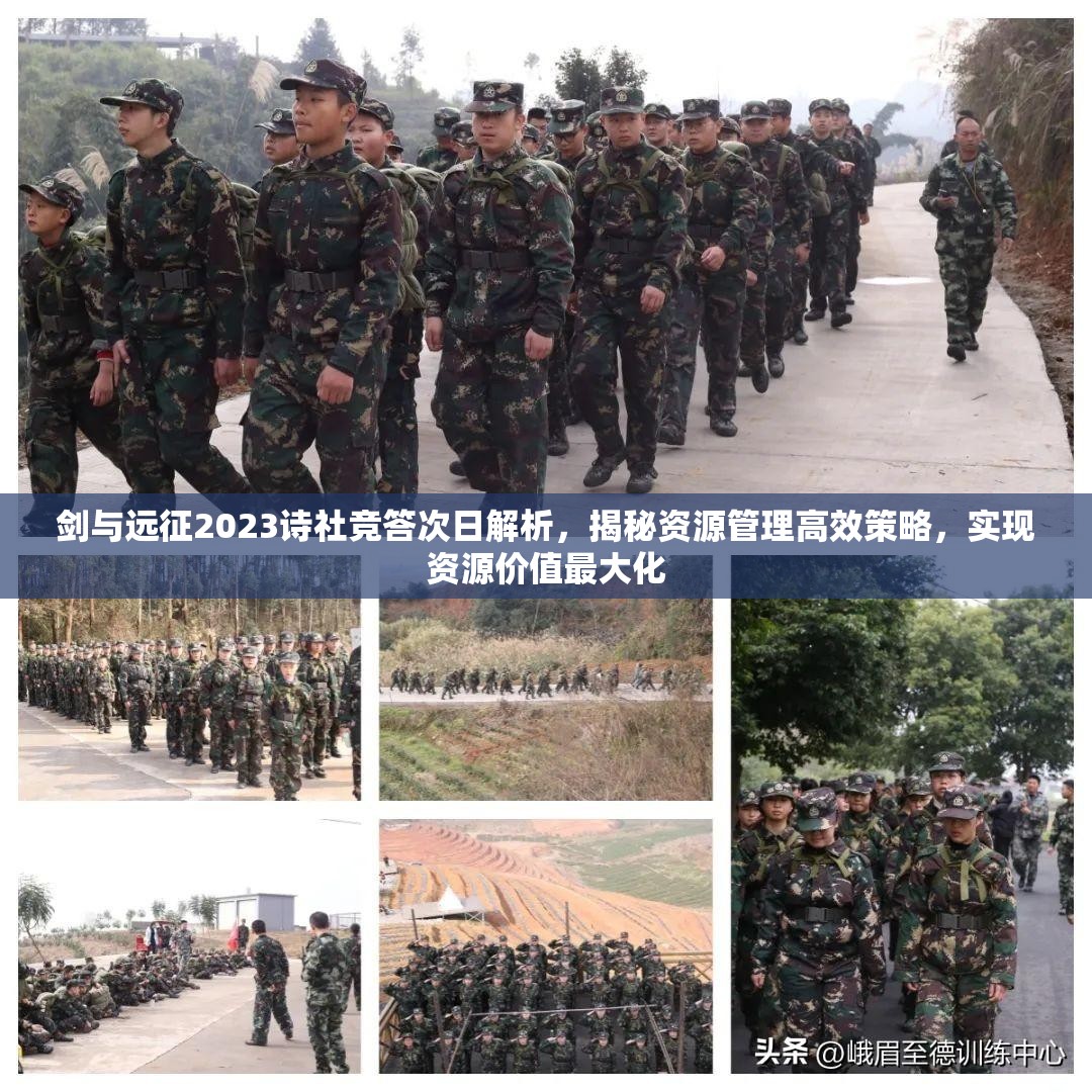 剑与远征2023诗社竞答次日解析，揭秘资源管理高效策略，实现资源价值最大化