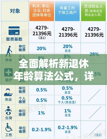 全面解析新退休年龄算法公式，详细指导如何计算退休年龄