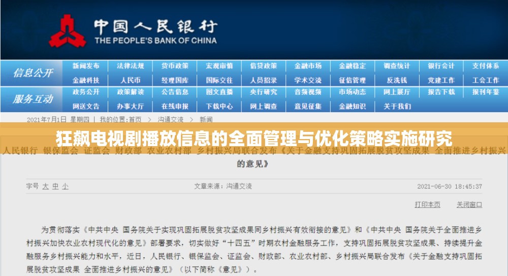 狂飙电视剧播放信息的全面管理与优化策略实施研究