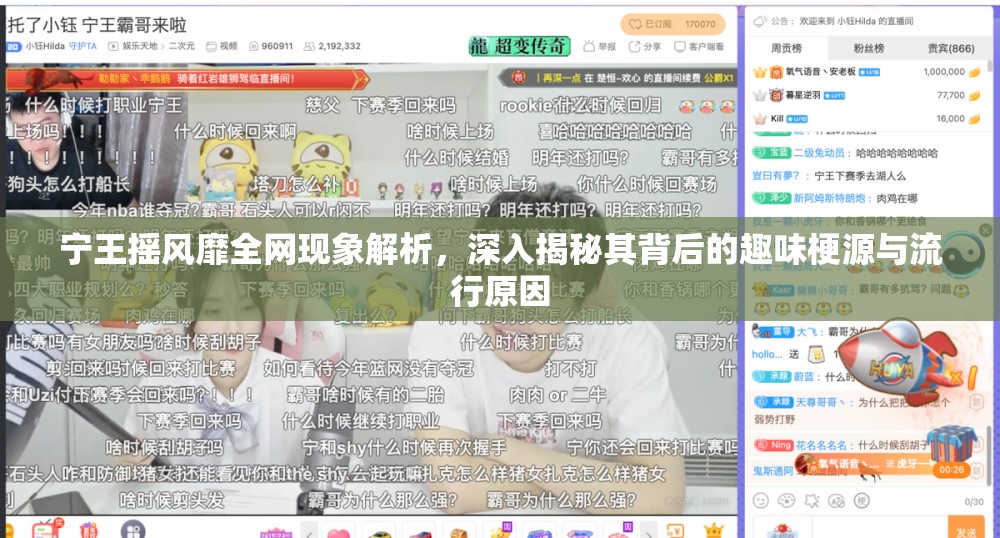 宁王摇风靡全网现象解析，深入揭秘其背后的趣味梗源与流行原因