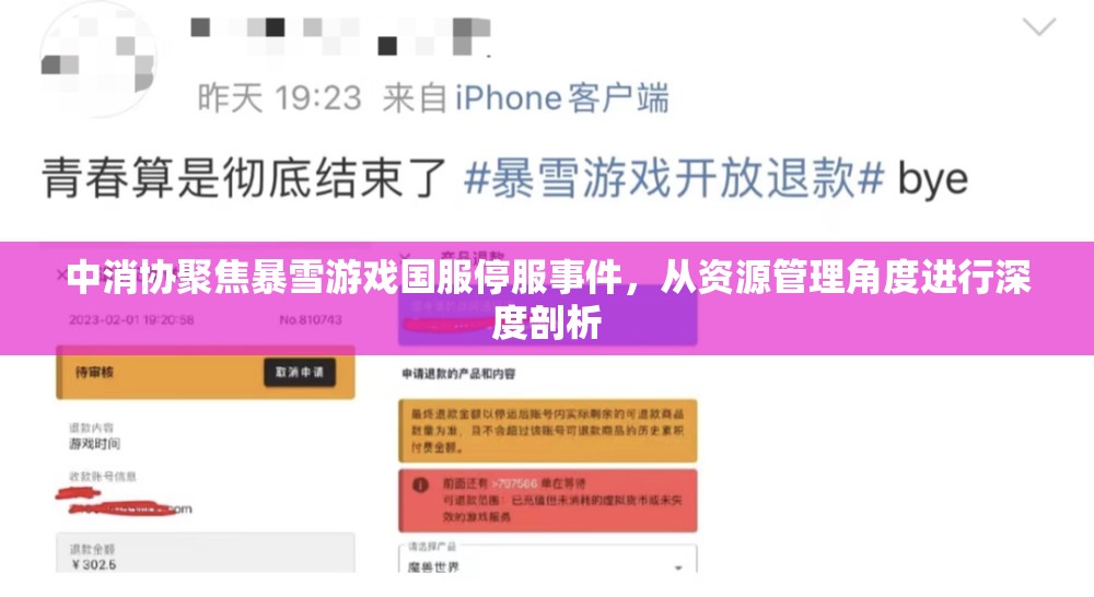 中消协聚焦暴雪游戏国服停服事件，从资源管理角度进行深度剖析