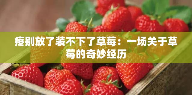 疼别放了装不下了草莓：一场关于草莓的奇妙经历