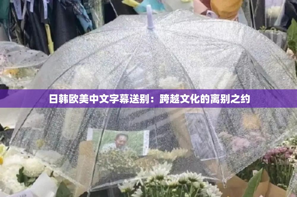 日韩欧美中文字幕送别：跨越文化的离别之约