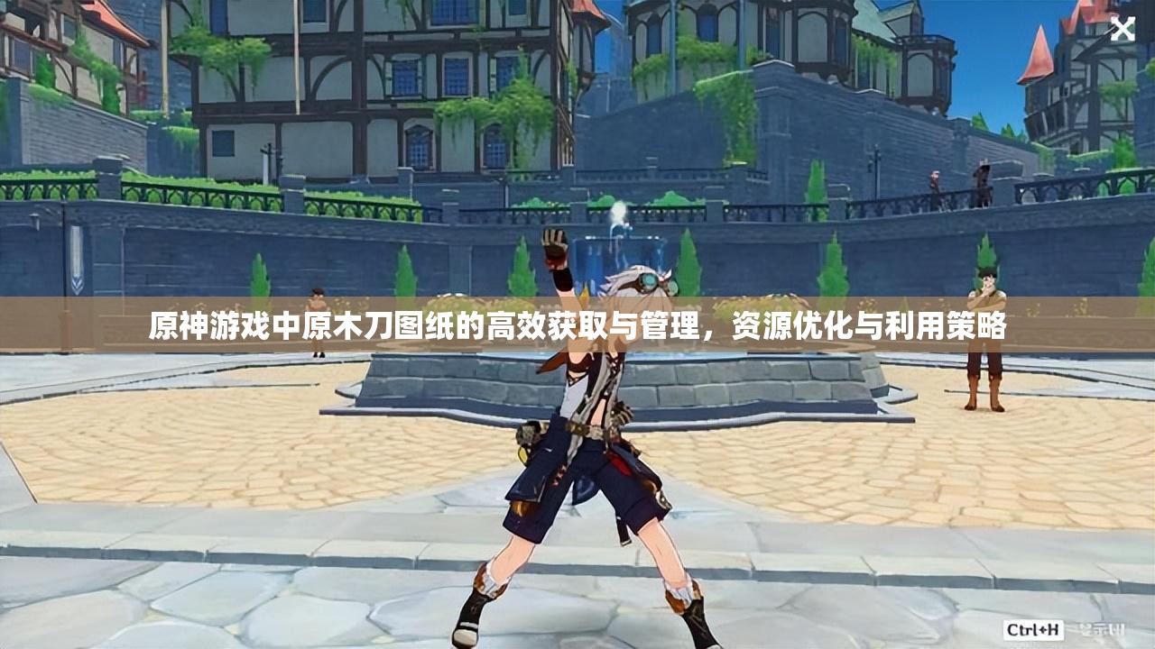 原神游戏中原木刀图纸的高效获取与管理，资源优化与利用策略