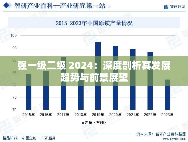 强一级二级 2024：深度剖析其发展趋势与前景展望