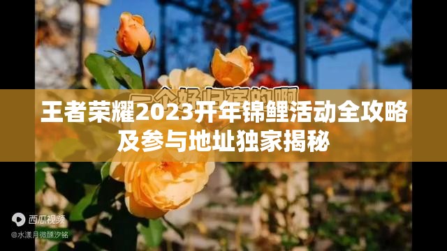 王者荣耀2023开年锦鲤活动全攻略及参与地址独家揭秘